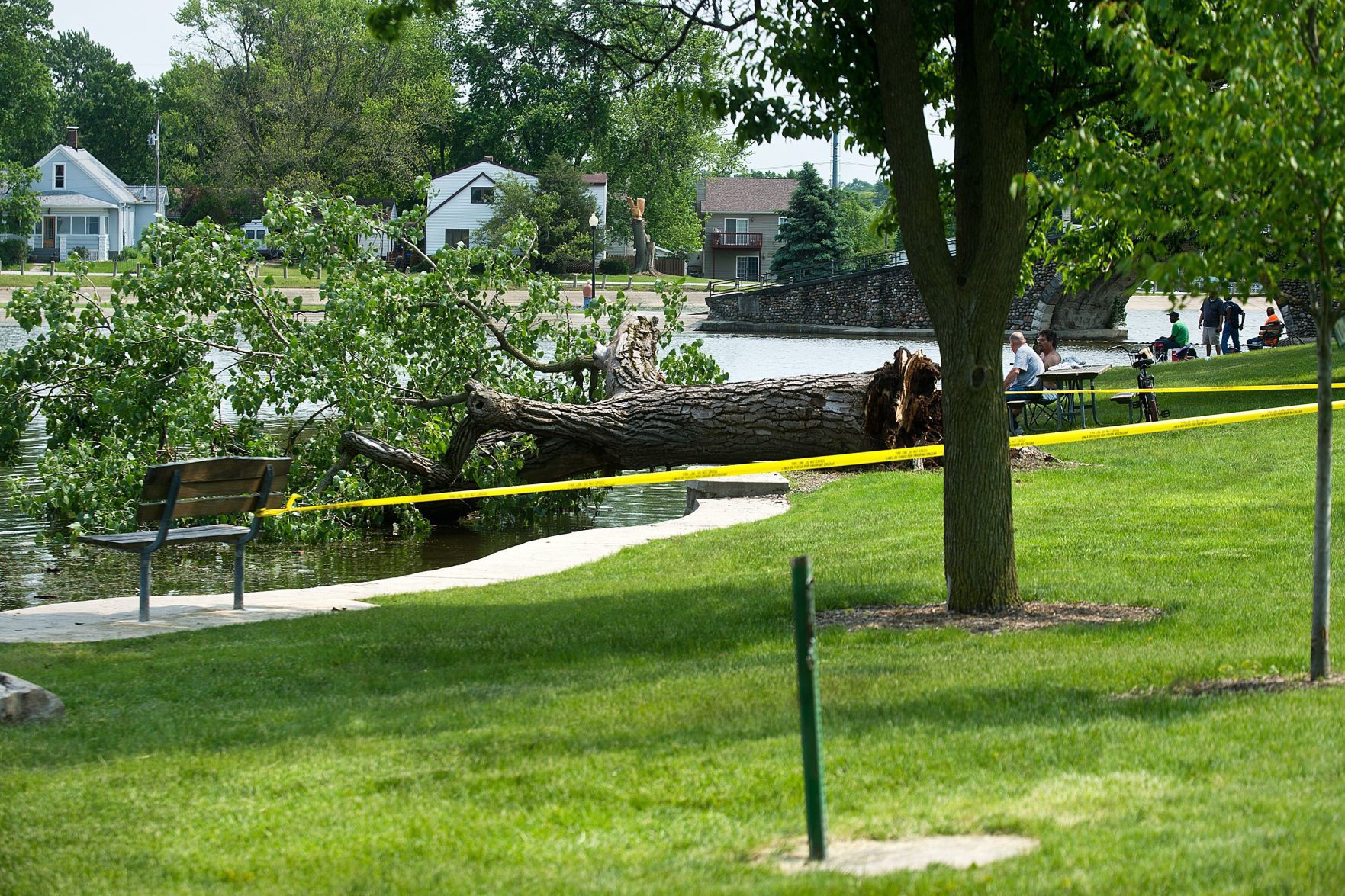 If a tree falls in a lake ...